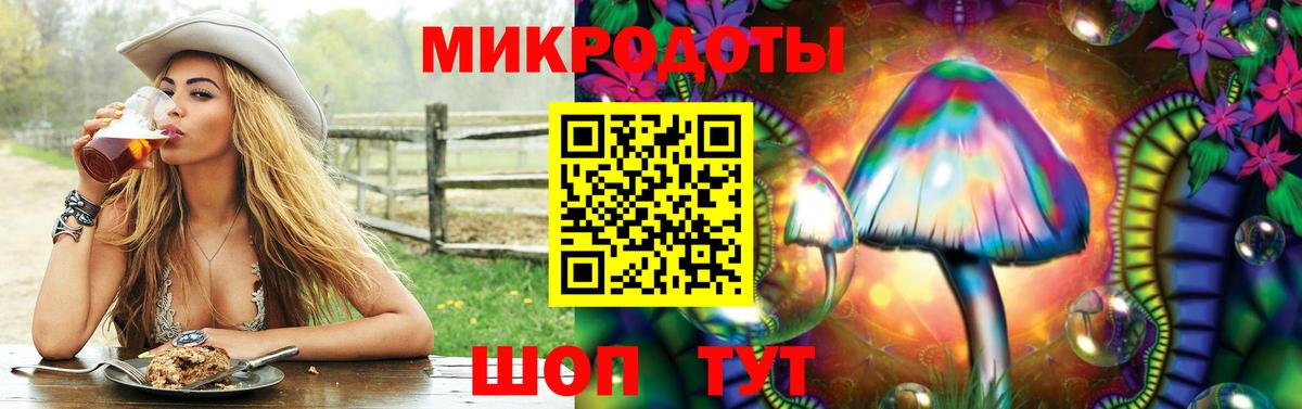 Псилоцибиновые грибы Psilocybe Феодосия