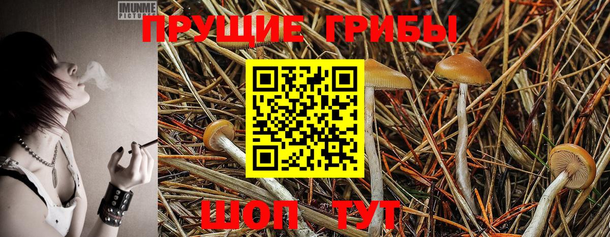 Псилоцибиновые грибы Magic Shrooms  Вход с VPN  Феодосия 